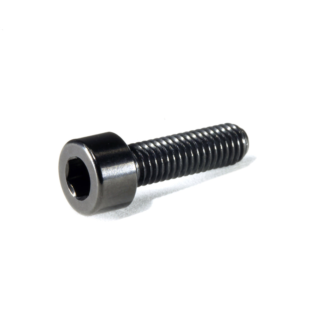 Titanium Screws - Black Anodized 4-Pack